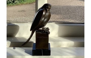 foto4
