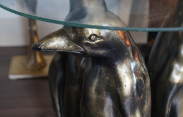 foto5
