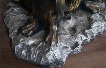 foto6